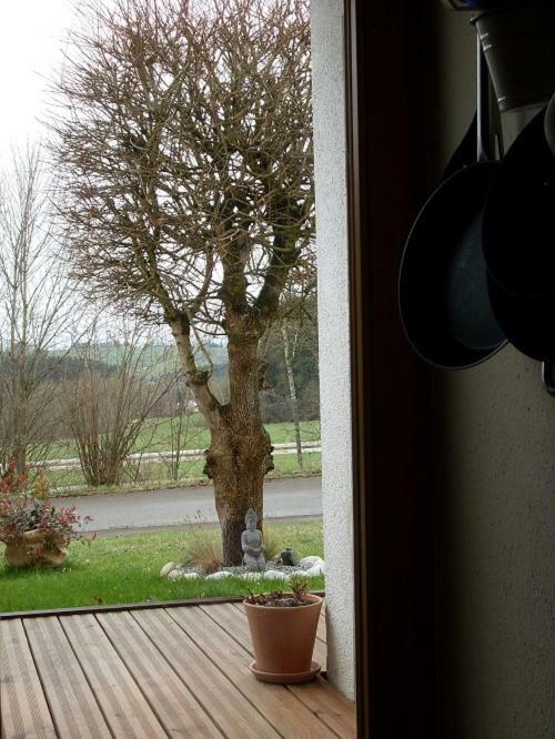 Apartament Silvi Herdwangen-Schönach Zewnętrze zdjęcie